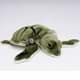Bild von Schildkröte Kuscheltier Hatschling Baby Karettschildkröte 24 cm * HUGO