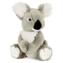 Bild für Kategorie Koalas