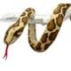 Bild von Tigerpython 100cm Kuscheltier Schlange Python Plüschschlange Plüschtier NADZL