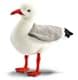 Bild von Möwe PREMIUM Plüschtier Vogel grau weiß stehend Dekotier NILS