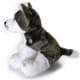 Bild von Husky Schlittenhund Plüsch Kuscheltier sitzend grau weiß KENAI 