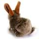 Bild von Hase Kaninchen Häschen Plüschtier Kuscheltier Plüschhase EMMI