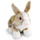 Bild von Hase Kaninchen Häschen beige Plüschtier Kuscheltier Plüschhase BUNNY