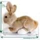 Bild von Hase Kaninchen Häschen beige Plüschtier Kuscheltier Plüschhase BUNNY