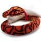 Bild von Regenbogen Boa Kuscheltier Schlange Würgeschlange 150 cm Plüschschlange Plüschtier NESAYA
