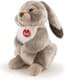 Bild von Hase Häschen Kaninchen Widder Kuscheltier grau Plüsch Hund LINO