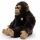 Bild von Schimpanse Kuscheltier Affe mit Magneten 34 cm Plüschtier CHIPS 