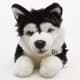 Bild von Husky Kuscheltier liegend 29 cm schwarz-weiß - Plüsch Hund YUKON