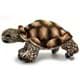 Bild von Schildkröte Landschildkröte Plüschtier Kuscheltier Plüschschildkröte DAPHNE