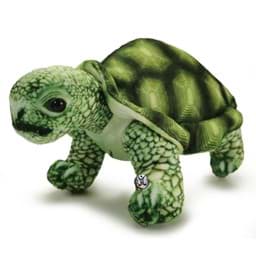 Bild von Schildkröte Landschildkröte grün Plüschtier Kuscheltier Plüschschildkröte TURTOK