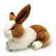 Bild von Hase Kuscheltier Kaninchen braun-weiß Plüschtier Häschen STUPSI 