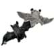 Bild von SET Fledermaus hellgrau + dunkelgrau Kuscheltier - 2 Plüschtiere