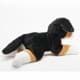 Bild von kleiner Berner Sennenhund HENRYETTE liegend 20 cm Kuscheltier