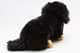 Bild von Dackel Kuscheltier 34 cm schwarz-rot Langhaardackel Plüschtier Hund JULE