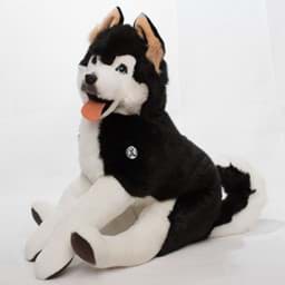 Bild von Husky Kuscheltier Hund Schlittenhund schwarz weiß XXL Schlenkertier Plüschhund AMAROK 
