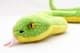 Bild von Grüne Mamba Kuscheltier Schlange Grubenotter Plüschtier Snake MAMBOO