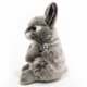 Bild von Hase BARNEY grau sitzend Kaninchen Häschen Plüschtier Kuscheltier Plüschhase