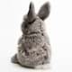 Bild von Hase BARNEY grau sitzend Kaninchen Häschen Plüschtier Kuscheltier Plüschhase