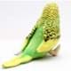 Bild von Wellensittich Kuscheltier grün gelb Plüsch Vogel Sittich 12 cm * KIWI
