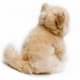 Bild von Katze Kuscheltier beige 17 cm Kitten Plüschtier Kätzchen * AMBRA