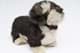 Bild von Rauhaardackel Kuscheltier Dachshund stehend Plüschhund WASTEL 
