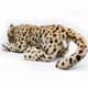 Bild von Gepard Kuscheltier Raubkatze liegend 65 cm Schlenkertier * ZAHEYLU