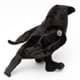 Bild von Rabe Kuscheltier Vogel schwarz Krähe Kohlrabe Plüschtier Wildvogel HUGIN