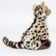 Bild von Bengalkatze Kuscheltier Ginsterkatze 29 cm Schleichkatze Wildkatze ZIRBET