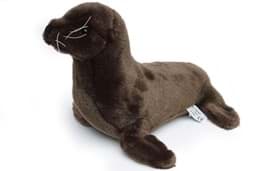 Bild für Kategorie Seehunde & Robben