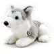 Bild von Husky IOWA Schlittenhund liegend grau-weiß mit blauen Augen Kuscheltier 