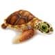 Bild von Schildkröte Kuscheltier Turtle Plüschtier Wasserschildkröte BROWNY 