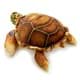 Bild von Schildkröte Kuscheltier Turtle Plüschtier Wasserschildkröte BROWNY 