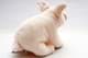 Bild von Ferkel BABETTE Schwein Glücksschwein Plüschtier 23 cm Plüschschwein Schweinchen Kuscheltier
