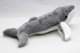 Bild von Buckelwal Kuscheltier Wal Furchenwal grau 26 cm Plüschtier PUSTY  