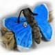 Bild von Schmetterling Kuscheltier Falter blau Insekt butterfly Plüschtier LILLI 