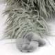 Bild von Kuscheltier Bigfoot Yeti Schlenkeraffe Schlenkertier Schneemensch Waldmensch Plüschtier * TOOTSCH