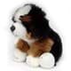 Bild von Kuscheltier Berner Sennenhund 25 cm - Schlenkertier Doodle Hund KNUFFEL