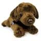 Bild von Labrador Kuscheltier Hund liegend braun 24 cm - Plüschtier STITCH