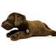 Bild von Labrador Kuscheltier Hund liegend braun 24 cm - Plüschtier STITCH