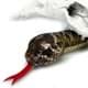 Bild von Klapperschlange MARNO Schlange mit Rassel Plüschschlange Plüschtier