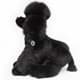 Bild von Pudel Kuscheltier Hund schwarz Schlenkertier Plüschhund BLACKY 