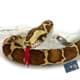 Bild von Tigerpython Kuscheltier Schlange Python 150 cm Plüschschlange Plüschtier ZÜNGLI 