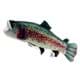 Bild von Forelle Kuscheltier Fisch Regenbogenforelle Lachsforelle Plüschtier SPLASH