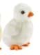 Bild von Küken PAULA weiß 13 cm Plüschtier Baby-Huhn Plüschküken