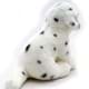 Bild von Dalmatiner Kuscheltier sitzend 25 cm - Plüsch Hund PONGO