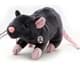 Bild von Maus Kuscheltier Ratte grau 29 cm Plüsch Nagetier REANO