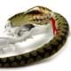 Bild von Kreuzotter Kuscheltier Schlange Viper 150 cm Plüschschlange BERUS 