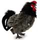 Bild von Hahn schwarz PREMIUM Plüschtier Augsburger Huhn Vogel Dekotier ALMUT