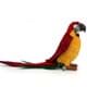 Bild von Papagei PREMIUM gelb rot Ara Plüschtier Vogel Dekotier GOLDIE