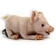 Bild von Schwein PREMIUM Ferkel Glücksschwein liegend Plüschtier Kuscheltier Dekotier HOPE